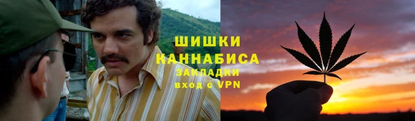 сатива Балабаново