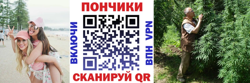 наркота  Славгород  Бошки Шишки Ganja 